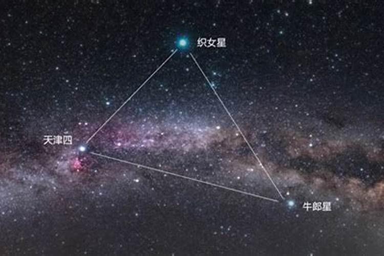 织女星属于什么星座