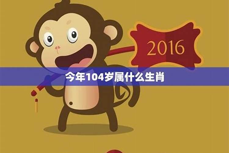 今年105岁属什么生肖呢