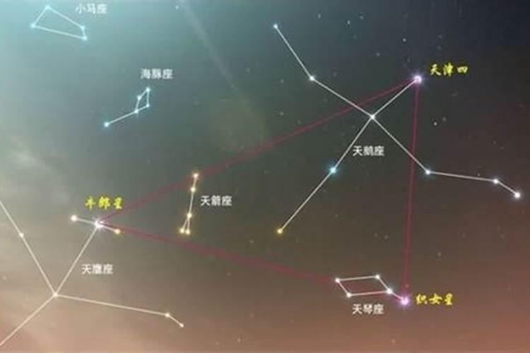 织女座是什么星座的主星