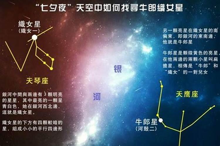 织女位于哪一个星座