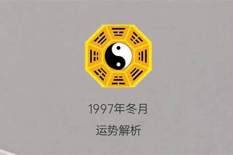 1975属兔2023年运势