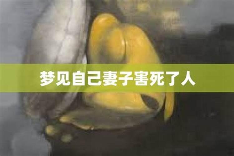 梦见即将坐飞机回家了怎么回事