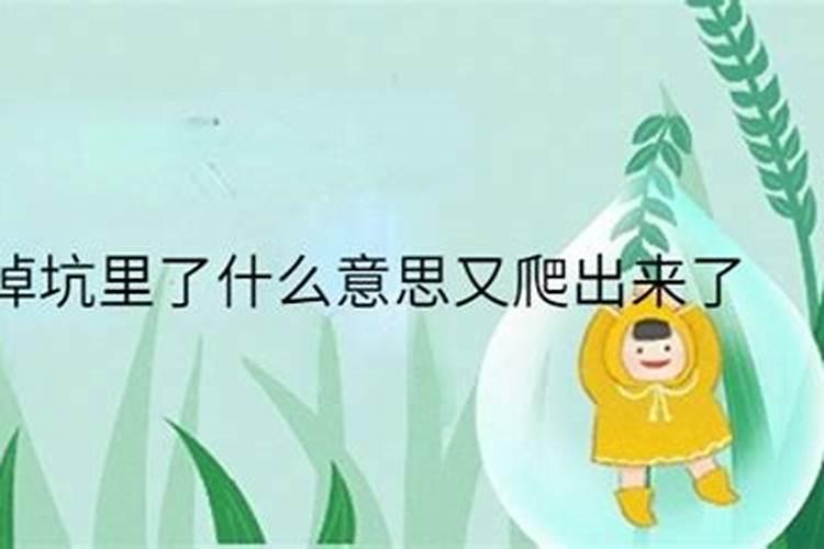 属虎和属鼠生什么属相孩子好