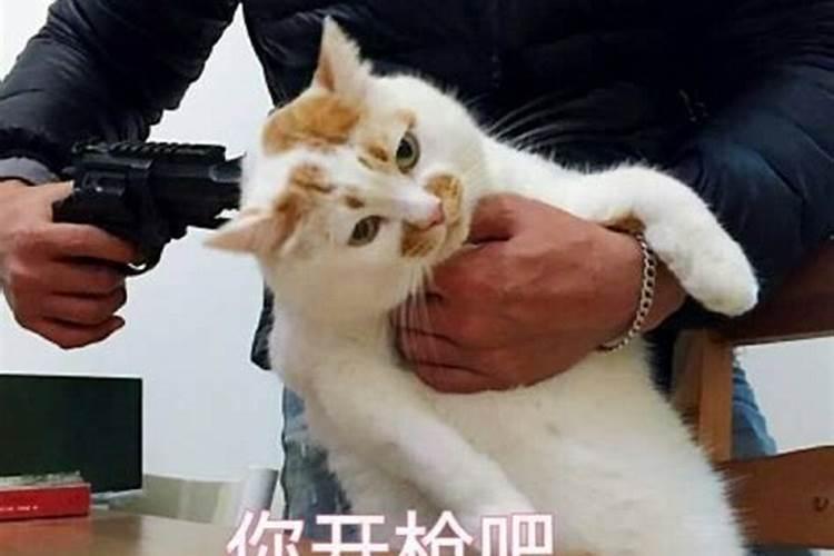 无与伦比是什么生肖特马