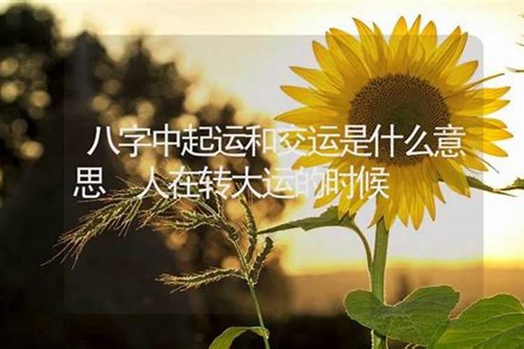 梦到孩子拉了一床屎