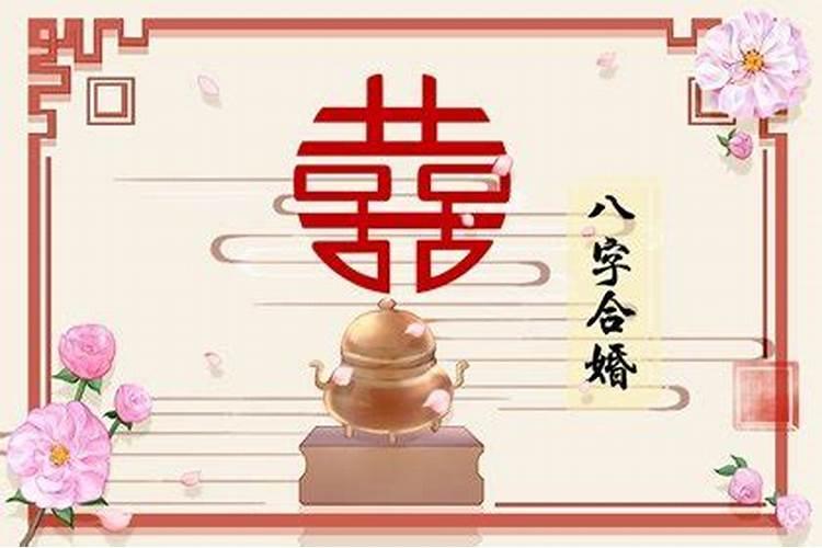 2019年的生肖属什么