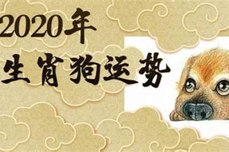 属兔人今年爱情怎么样