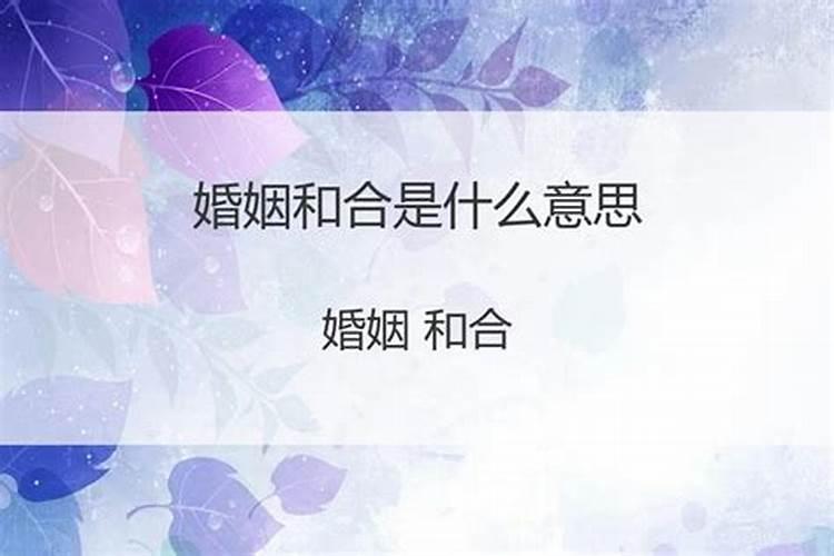 八字合婚比和是什么意思