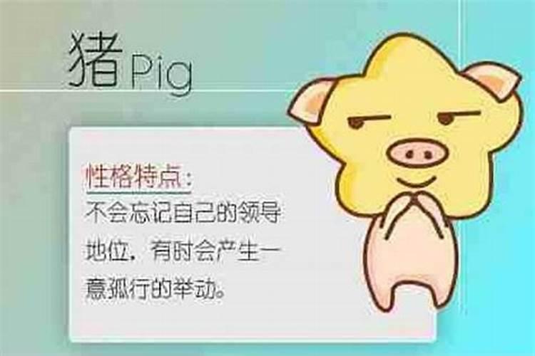 属羊和属鼠不合怎么化解