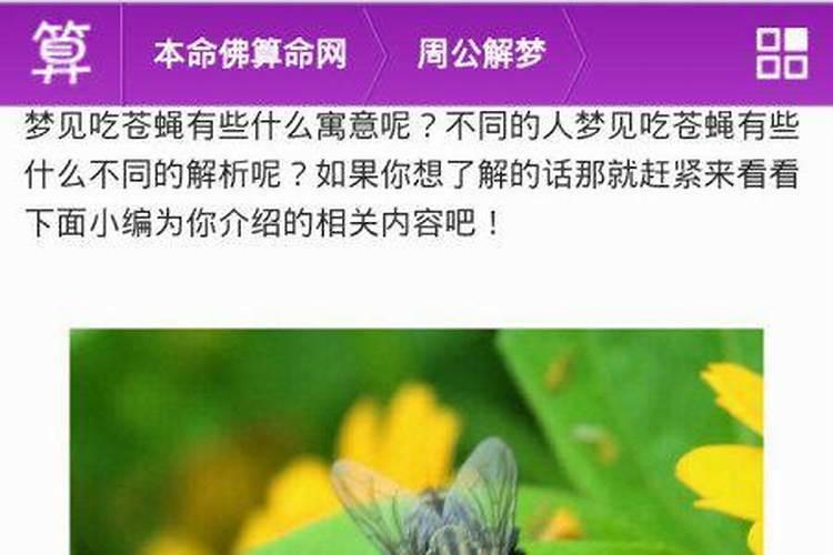 梦见苍蝇是什么意思周公解梦