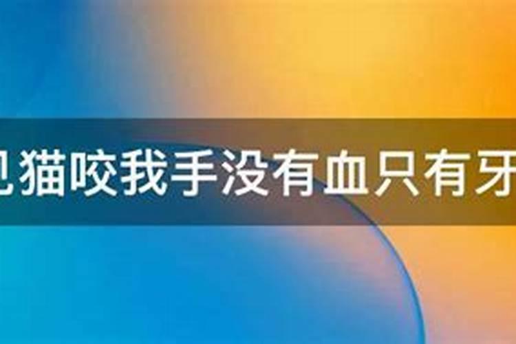 洛阳2021正月十五哪里有灯会