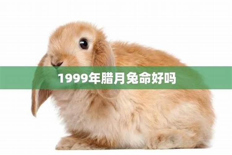 2000龙和1990马的生肖婚姻配吗