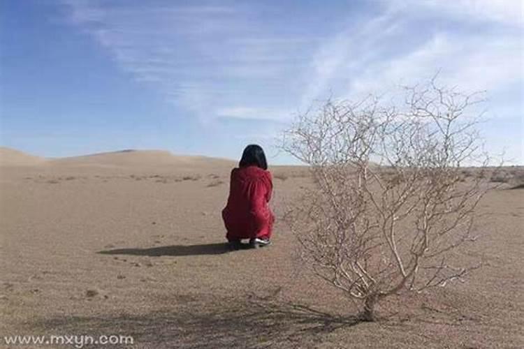 梦见自己怀孕生孩子,孩子死了是什么意思