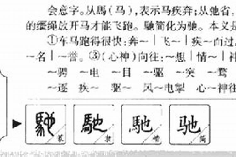 驰字五行属什么属性的