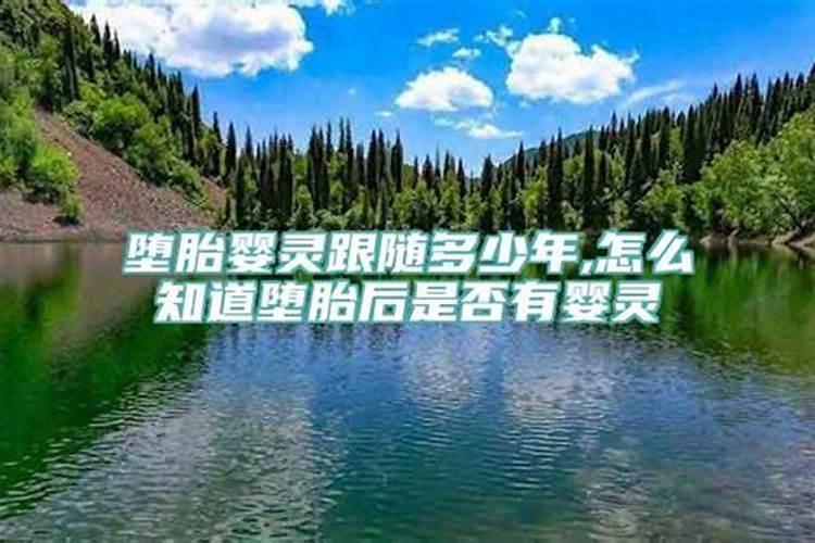 梦见大白鹅什么意思啊周公解梦