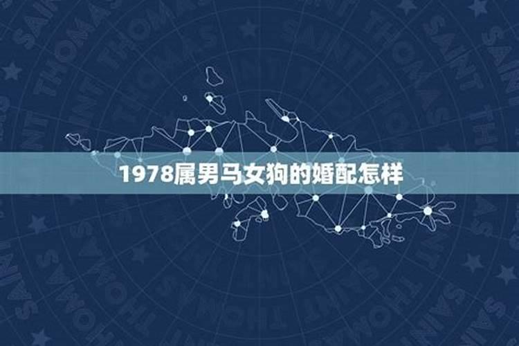 95年出生的人2024年的运程