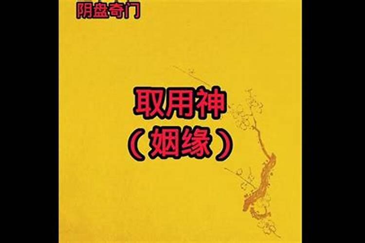 1978年属马的多少岁了今年运势