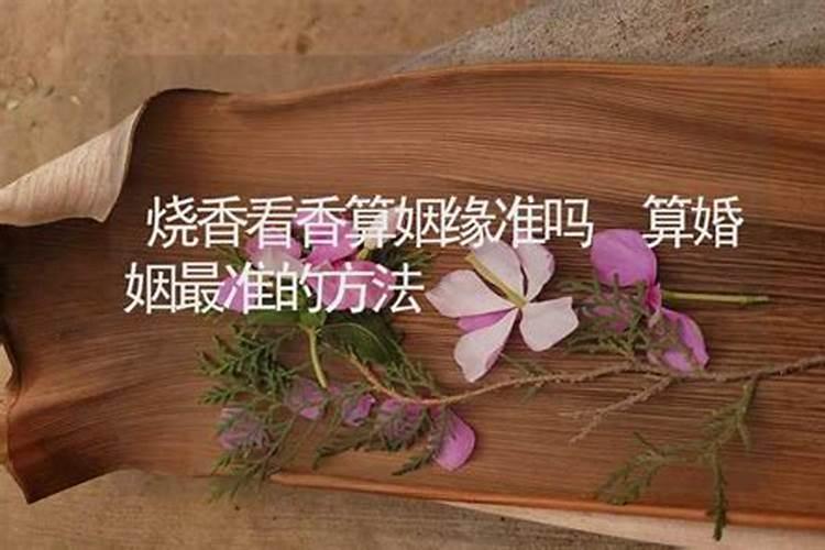 射手座与金牛座合不合婚姻