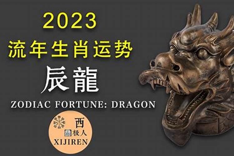 属兔男在2023年运势如何