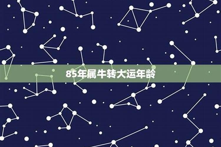 天蝎适合啥星座