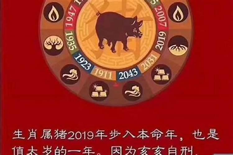 2024那几个犯太岁今年是