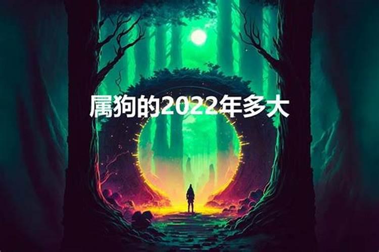 属狗的今年多少岁2022年龄