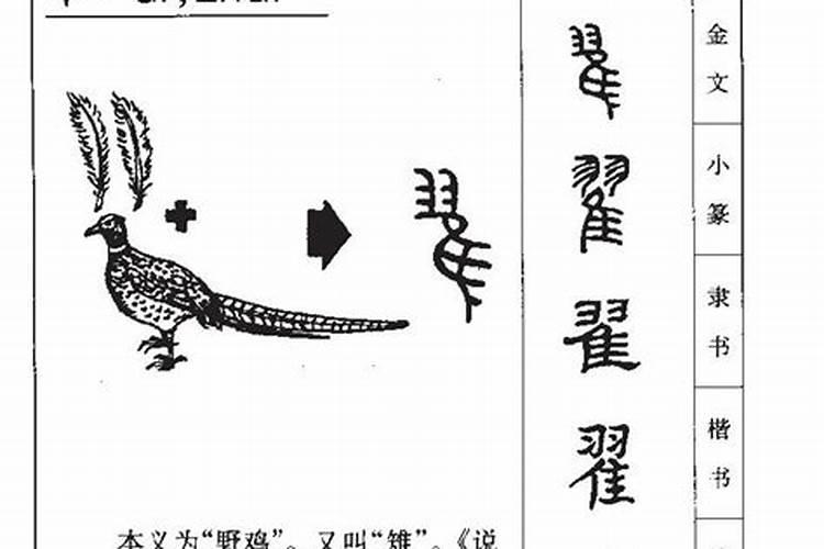 翟字五行属什么的