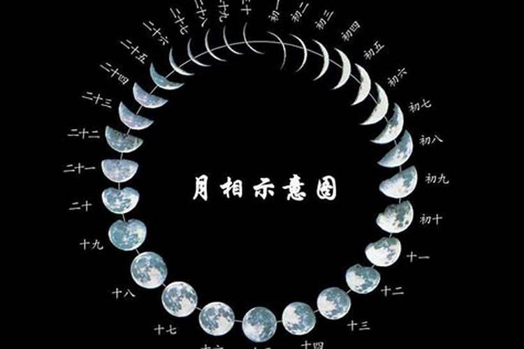 郭德纲生肖星座是什么