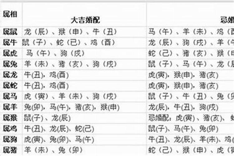 1995年七月十五命运