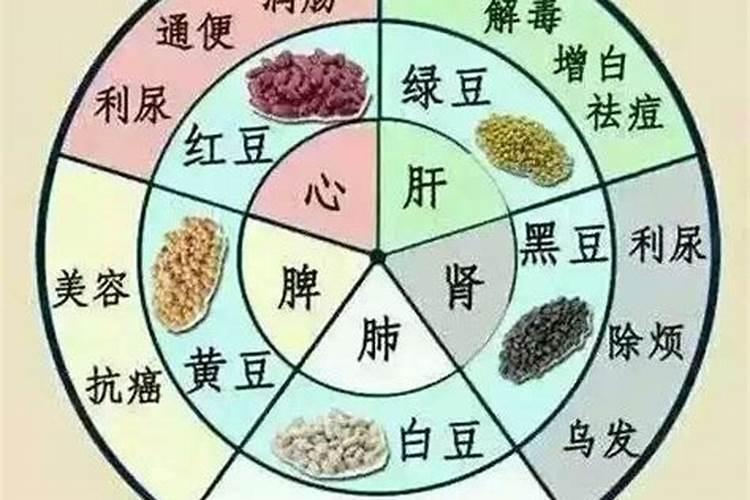 肥肉五行属什么