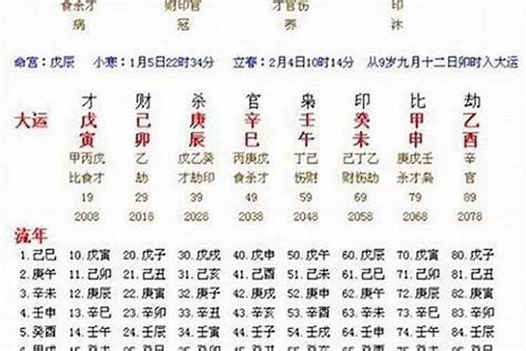 兔年属蛇的运势怎么样2023岁