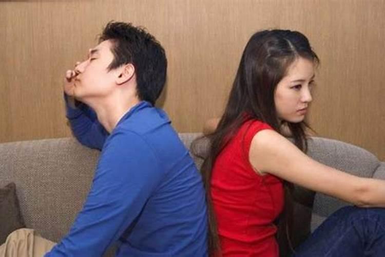 女属牛的男属兔的相配吗婚姻如何