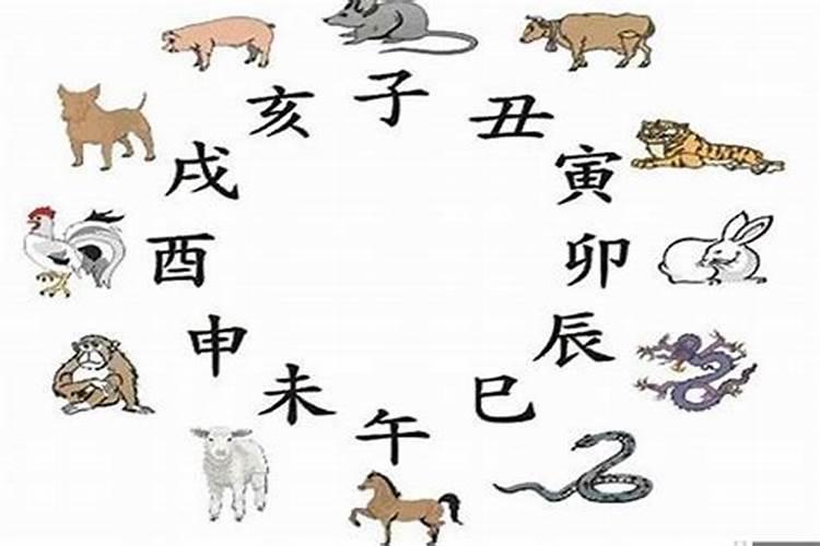 属猪的女生今年运势