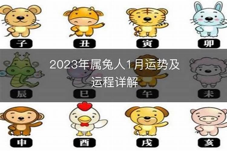 2023年犯太岁的属相是哪些