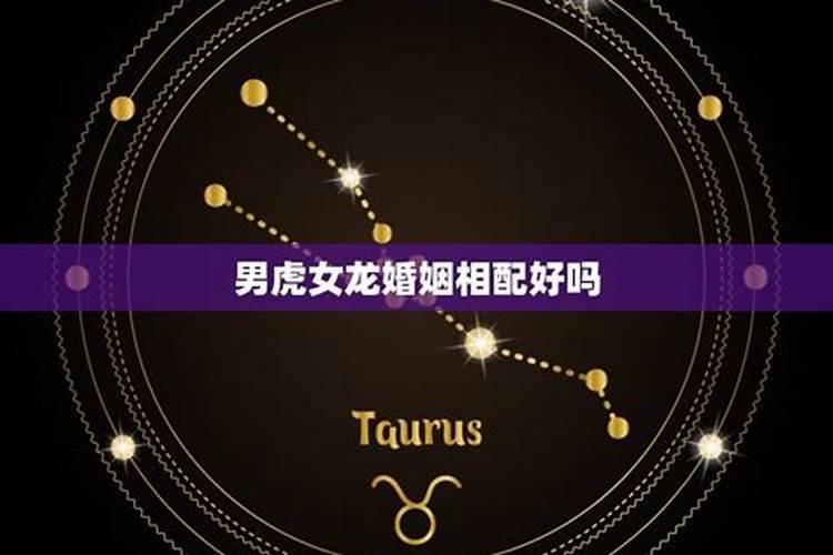 2月3日是什么星座呀