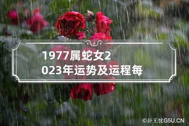 2021年属蛇和属猪结婚吉日