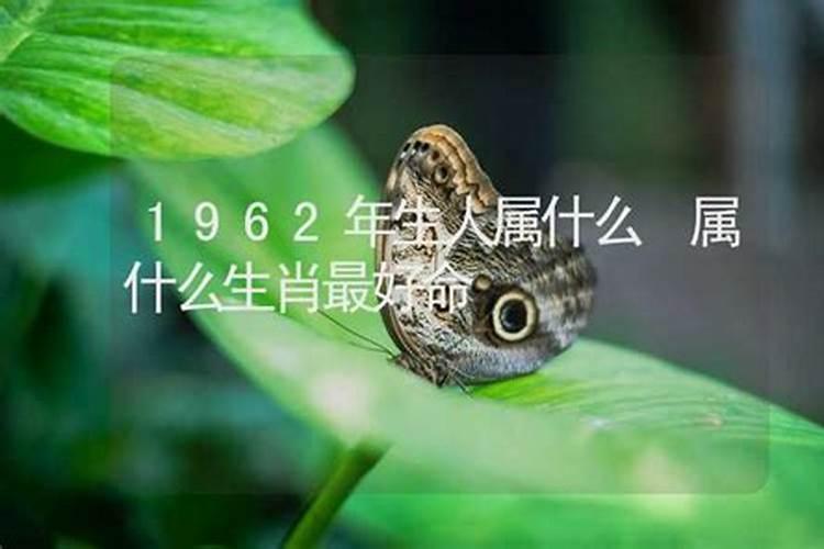 1962年属相什么命