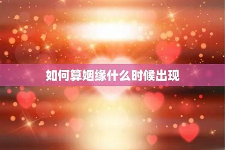 属马的属狗2024年运势及运程