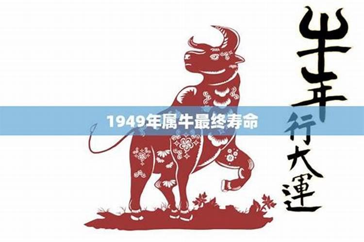 1949年属牛寿命预测