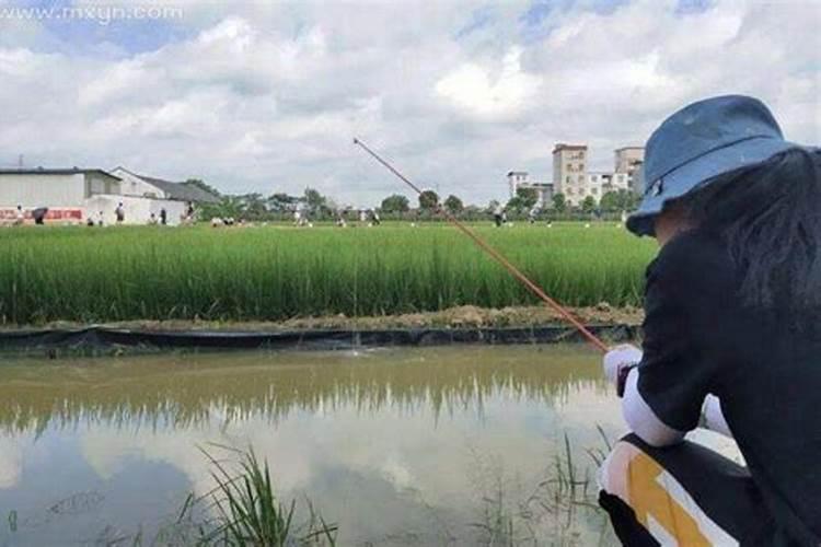 广西南宁风水师招聘