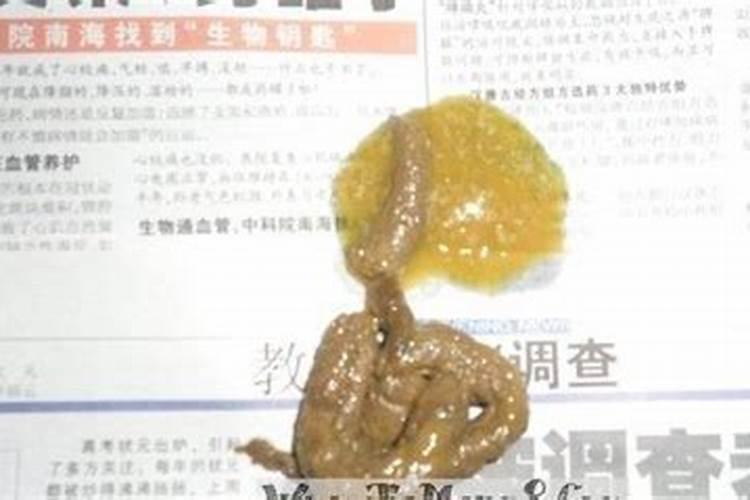 白羊座的特点男