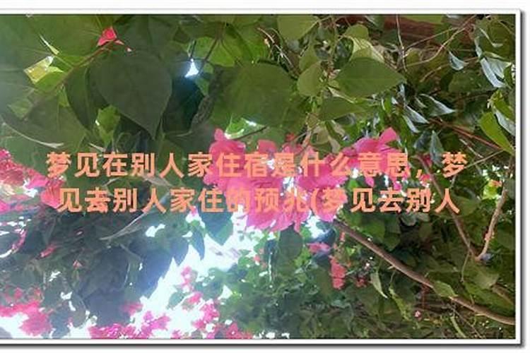 上升摩羯星座和什么最配