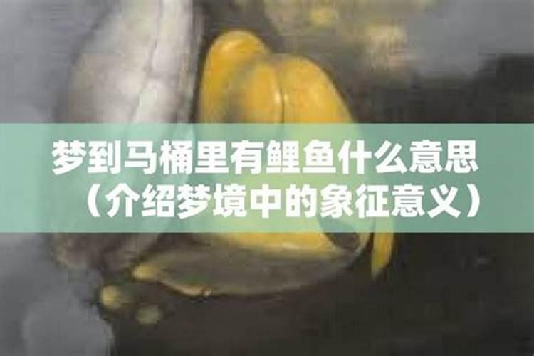 双鱼座失恋了怎么办呢