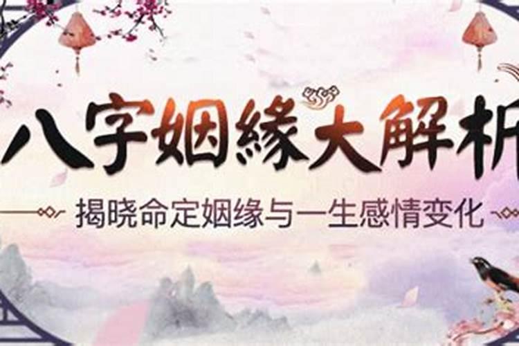 梦见红狐狸什么意思啊周公解梦