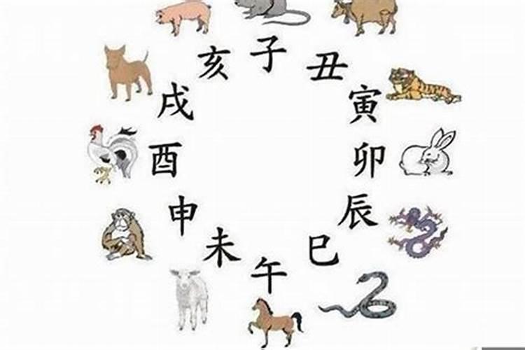 羊和虎八字不合