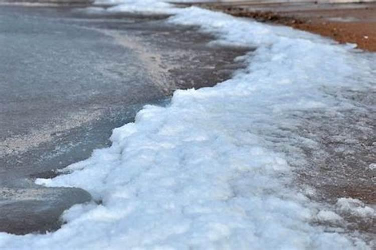 梦见大海边下雪结冰