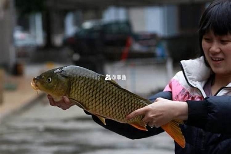 未婚女性梦见自己有孩子什么预兆