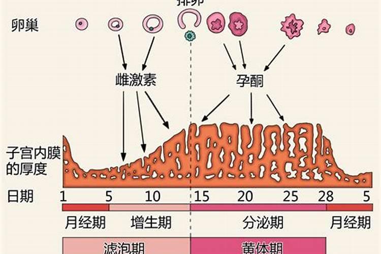 女命八字怎样看子女好不好