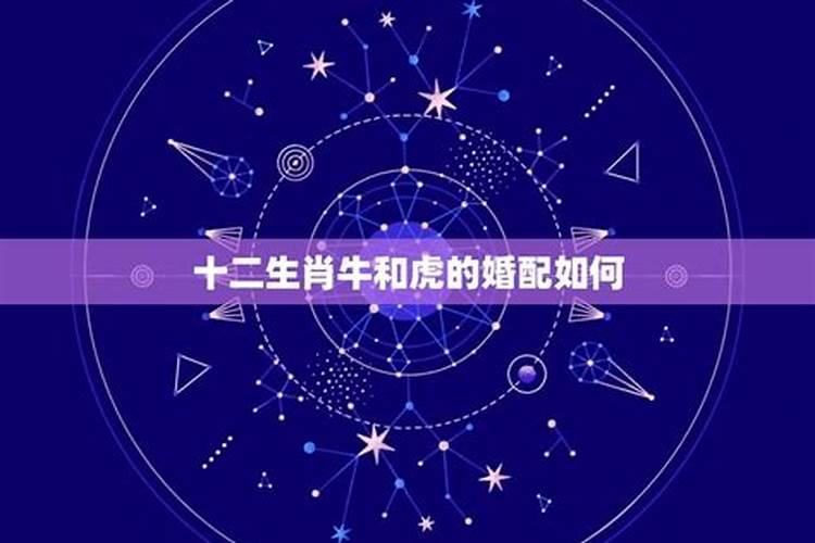 悲喜交加的生肖是什么