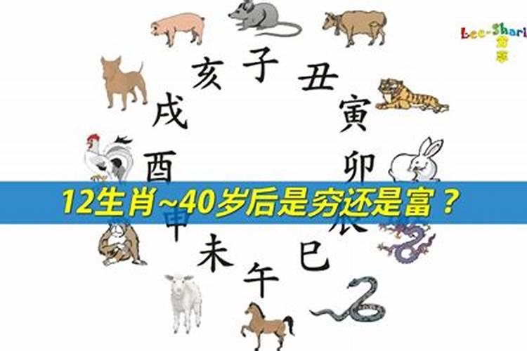 什么生肖男注定穷不过35岁的生活